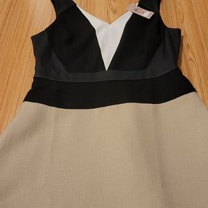 Ann Taylor Dress